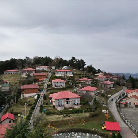 Tarika Resort&Spa - Chail Luaran gambar