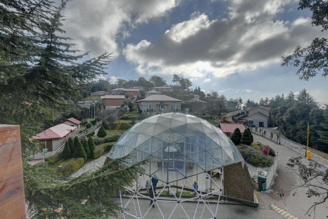 Tarika Resort&Spa - Chail Luaran gambar
