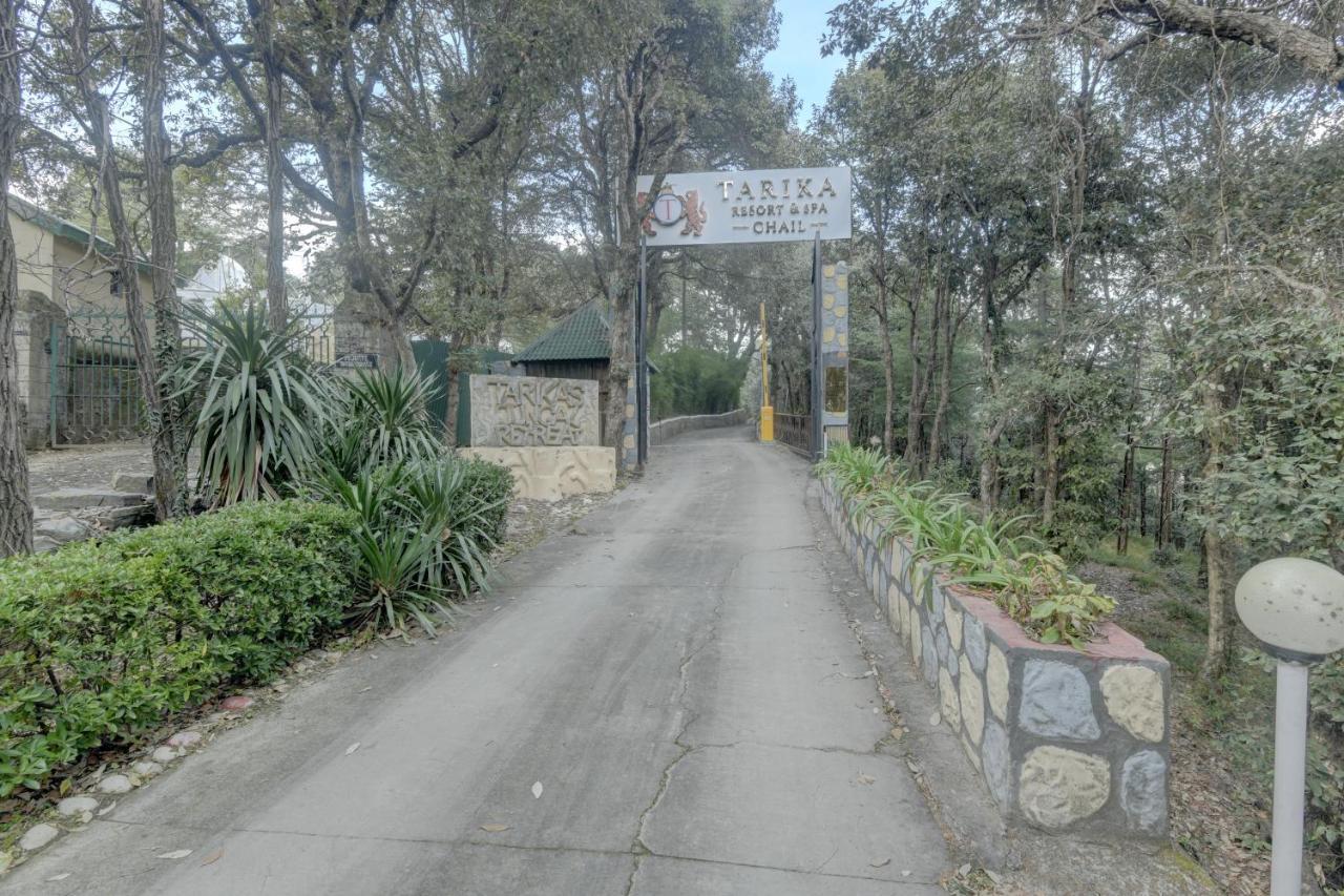 Tarika Resort&Spa - Chail Luaran gambar