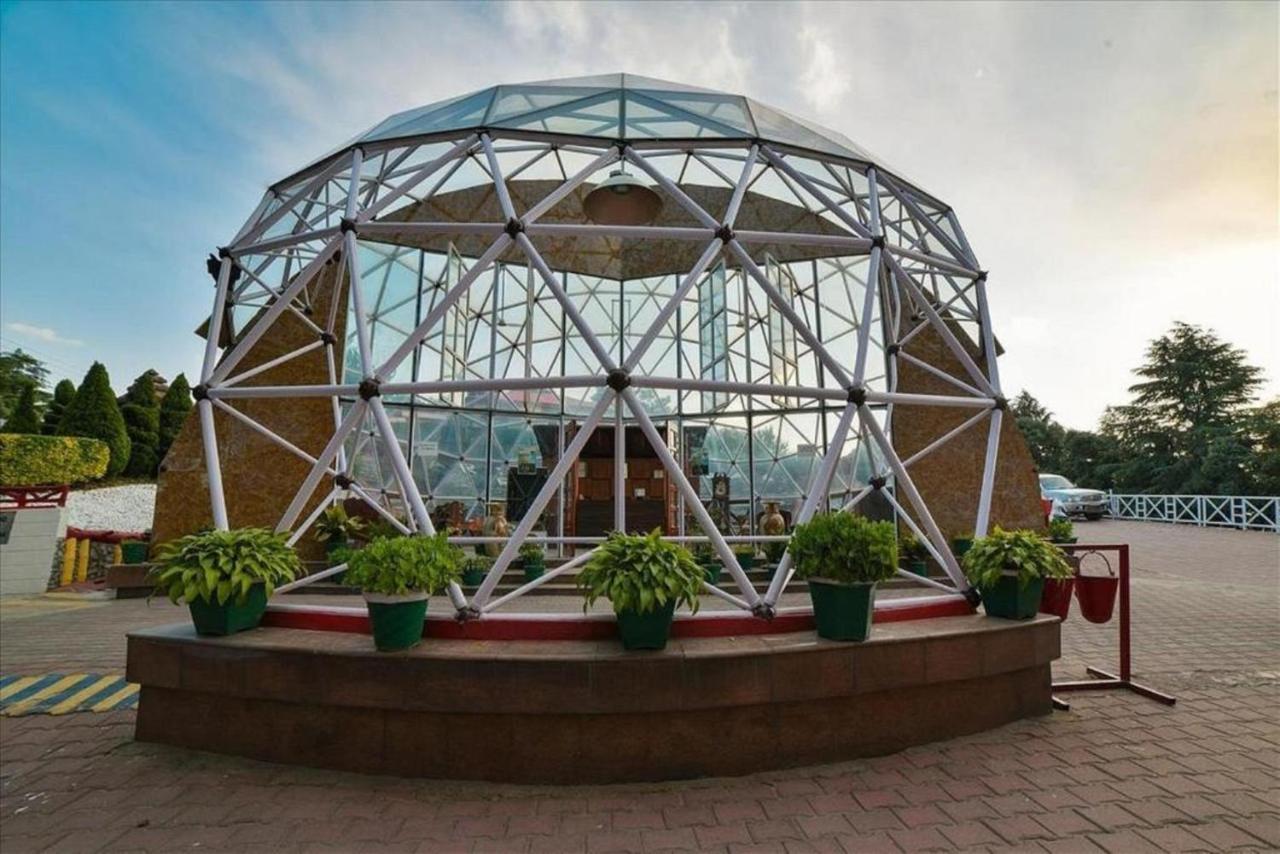 Tarika Resort&Spa - Chail Luaran gambar